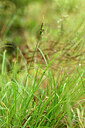 BUITEN BEELD Foto: 440762