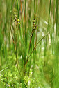 BUITEN BEELD Foto: 440767