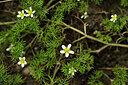 BUITEN BEELD Foto: 440778