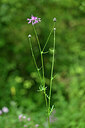BUITEN BEELD Foto: 440780