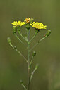 BUITEN BEELD Foto: 440786