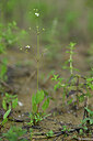 BUITEN BEELD Foto: 440787