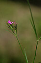 BUITEN BEELD Foto: 440790