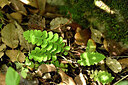 BUITEN BEELD Foto: 440791