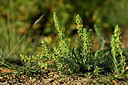 BUITEN BEELD Foto: 440792