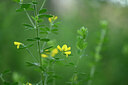 BUITEN BEELD Foto: 440793