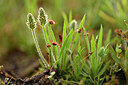 BUITEN BEELD Foto: 440794