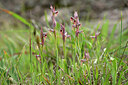 BUITEN BEELD Foto: 440804