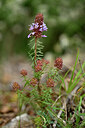 BUITEN BEELD Foto: 440805