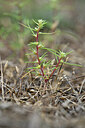 BUITEN BEELD Foto: 440813