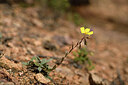 BUITEN BEELD Foto: 440814