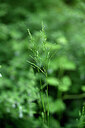 BUITEN BEELD Foto: 440818