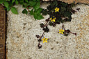 BUITEN BEELD Foto: 440826