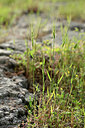 BUITEN BEELD Foto: 440829