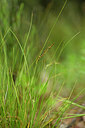 BUITEN BEELD Foto: 440830