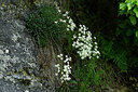 BUITEN BEELD Foto: 440831
