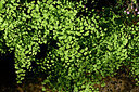 BUITEN BEELD Foto: 440836
