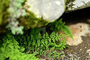 BUITEN BEELD Foto: 440838