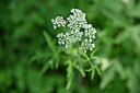 BUITEN BEELD Foto: 440840