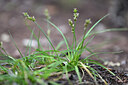 BUITEN BEELD Foto: 440849