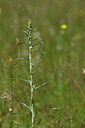 BUITEN BEELD Foto: 440850