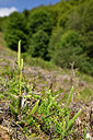 BUITEN BEELD Foto: 440851