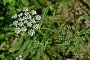 BUITEN BEELD Foto: 440854