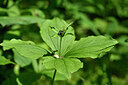 BUITEN BEELD Foto: 440857