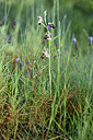 BUITEN BEELD Foto: 440871