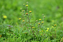 BUITEN BEELD Foto: 440873