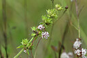 BUITEN BEELD Foto: 440874