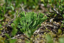 BUITEN BEELD Foto: 440884