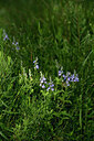 BUITEN BEELD Foto: 440893