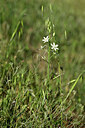 BUITEN BEELD Foto: 440896