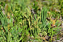 BUITEN BEELD Foto: 440901