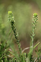 BUITEN BEELD Foto: 440902