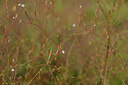 BUITEN BEELD Foto: 440904