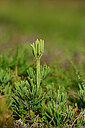BUITEN BEELD Foto: 440907
