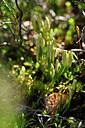 BUITEN BEELD Foto: 440912