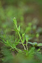 BUITEN BEELD Foto: 440917