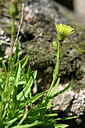 BUITEN BEELD Foto: 440918
