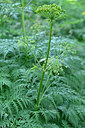 BUITEN BEELD Foto: 440920