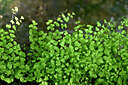 BUITEN BEELD Foto: 440924
