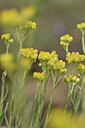 BUITEN BEELD Foto: 440925