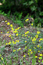 BUITEN BEELD Foto: 440930