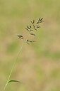 BUITEN BEELD Foto: 440937