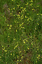 BUITEN BEELD Foto: 440938