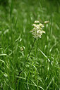 BUITEN BEELD Foto: 440943