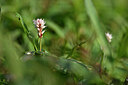 BUITEN BEELD Foto: 440945
