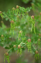 BUITEN BEELD Foto: 440946